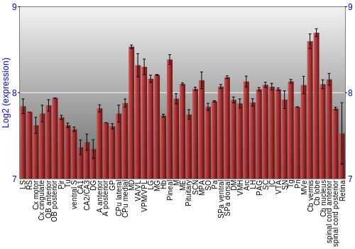 Expression graph