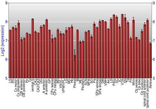 Expression graph