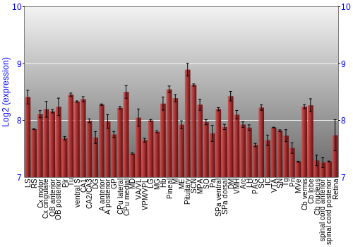 Expression graph