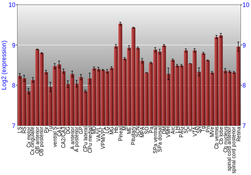 Expression graph
