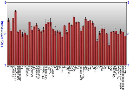 Expression graph