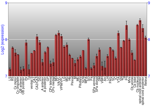 Expression graph
