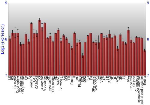 Expression graph