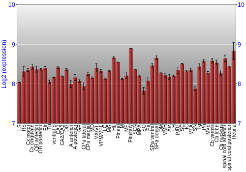 Expression graph