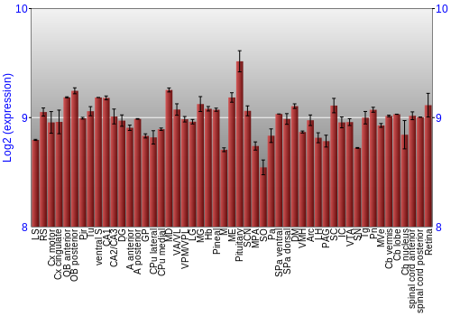 Expression graph