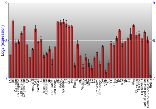 Expression graph