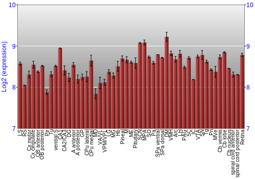 Expression graph