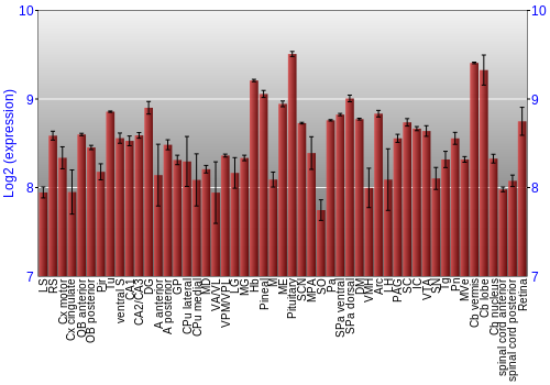Expression graph