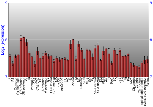 Expression graph