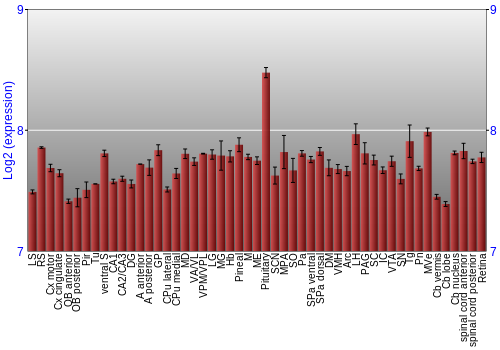 Expression graph