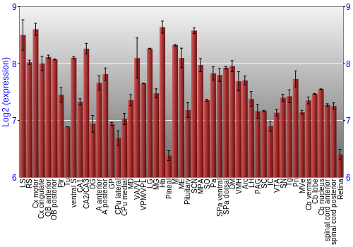 Expression graph