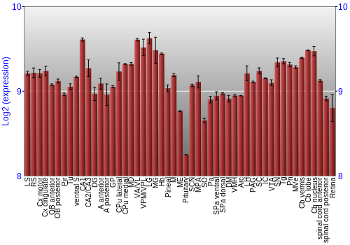 Expression graph