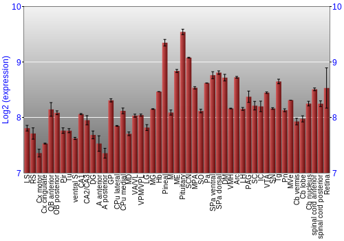 Expression graph