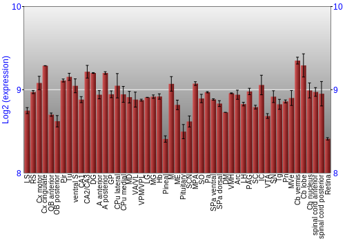Expression graph