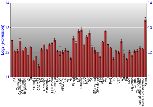 Expression graph