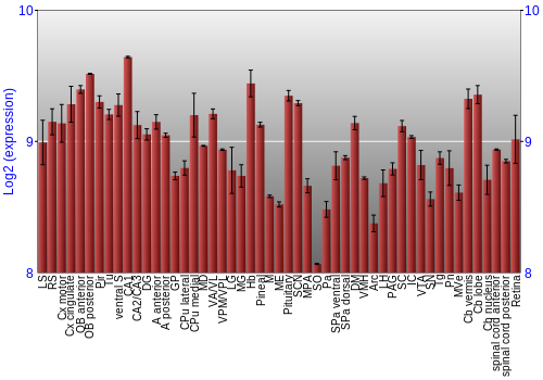 Expression graph