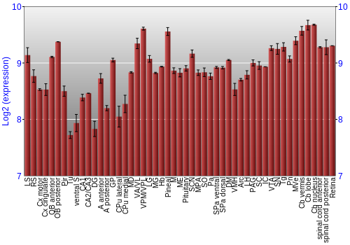 Expression graph