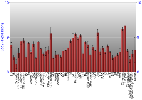 Expression graph