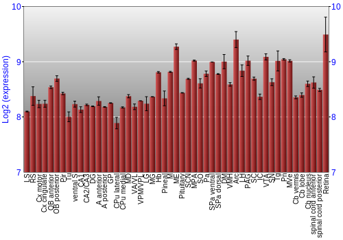Expression graph