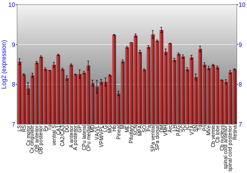 Expression graph