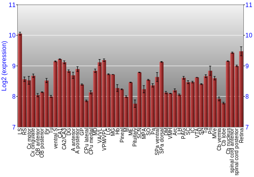 Expression graph