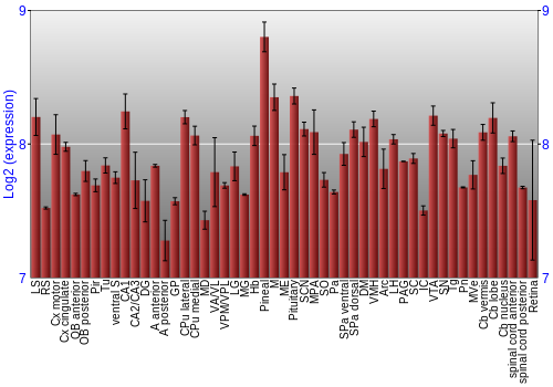 Expression graph