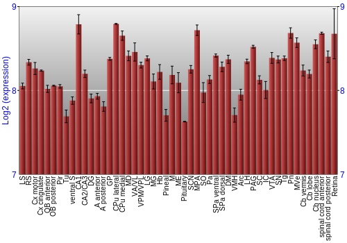 Expression graph