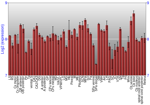Expression graph