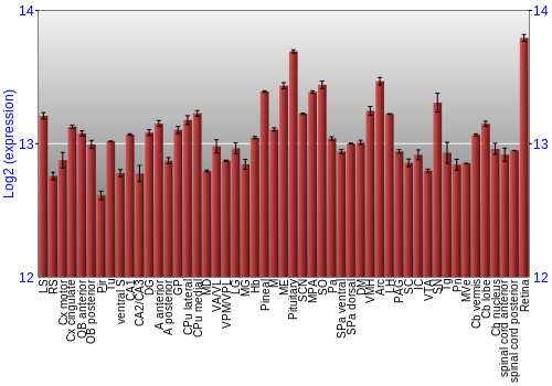 Expression graph