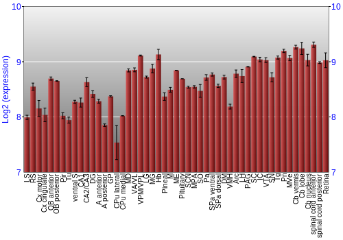 Expression graph