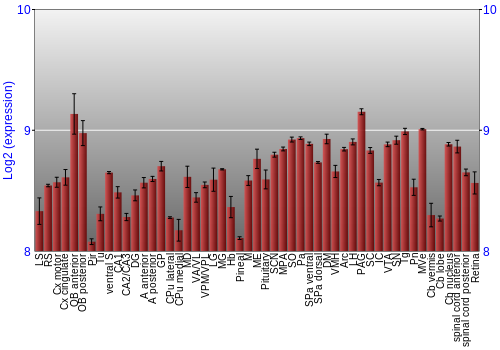 Expression graph