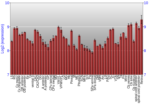 Expression graph