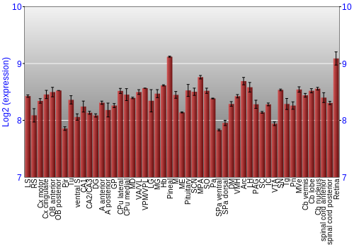 Expression graph