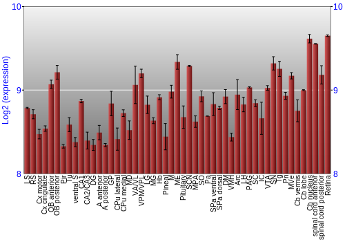 Expression graph