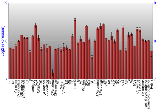 Expression graph
