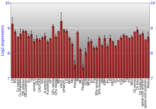 Expression graph