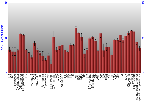 Multi-state expression graph