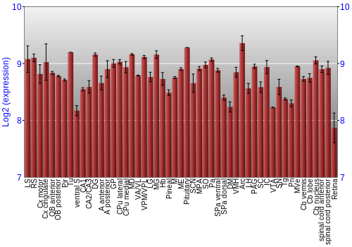 Expression graph