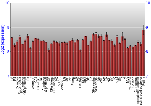 Expression graph