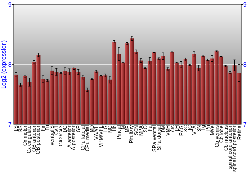 Expression graph