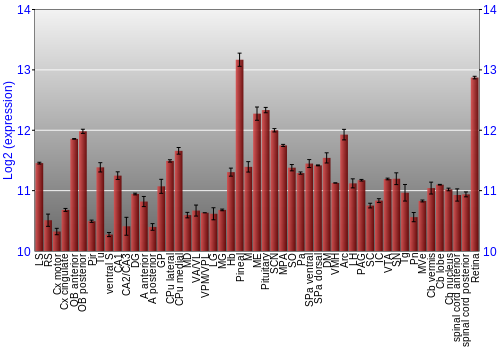 Expression graph