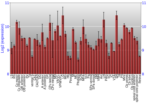 Expression graph