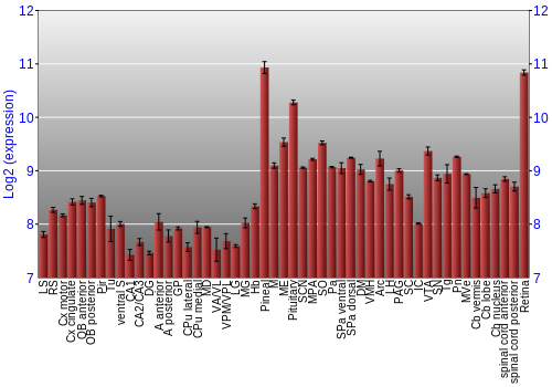 Expression graph