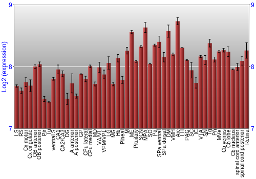Expression graph