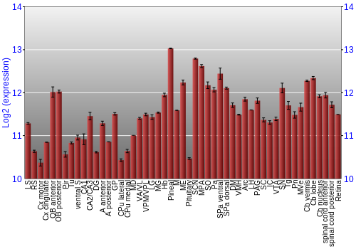 Expression graph
