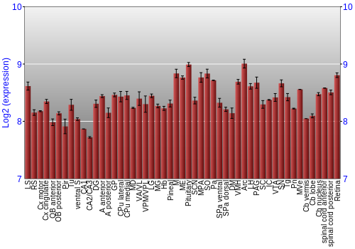 Expression graph