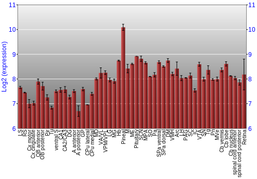 Expression graph