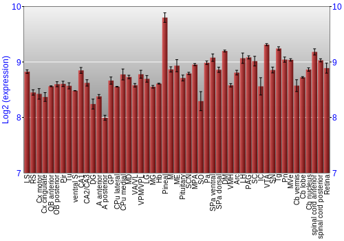 Expression graph