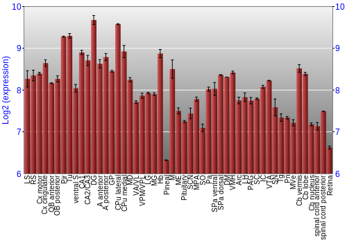 Expression graph