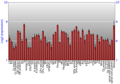 Expression graph